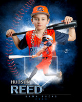 MVP Baseball Softball Main Template